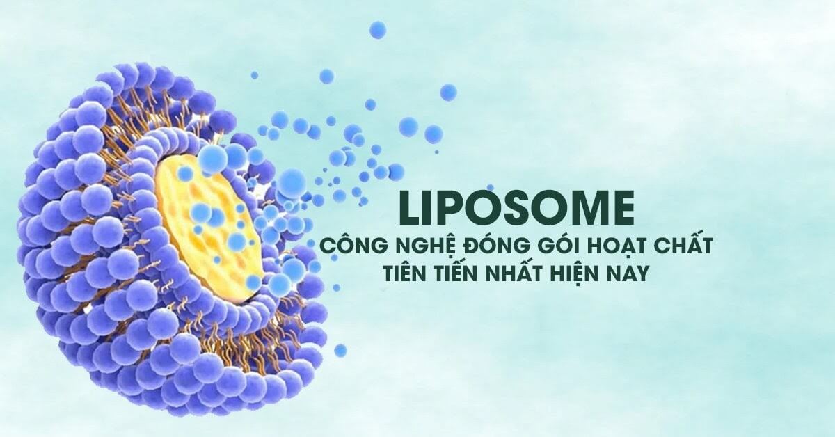 Kem nghệ không màu LIPOCUMIN ứng dụng công nghệ hiện đại Liposome Curcumin