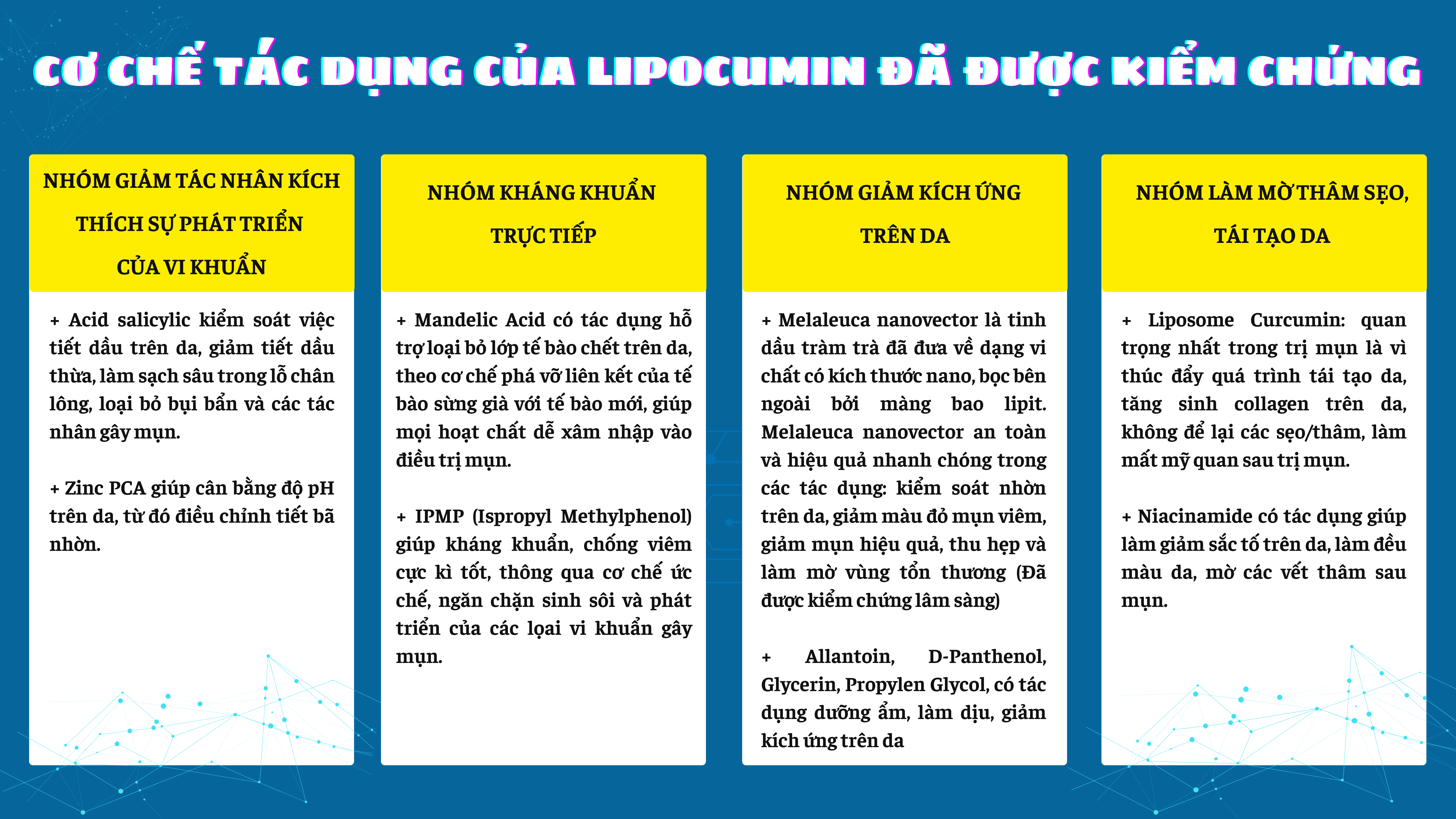 Cơ chế tác dụng của LIPOCUMIN – Kem nghệ không màu trị mụn với các vi hạt Liposome Curcumin